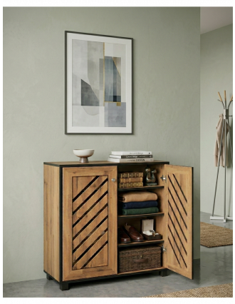 Shoe Racks or Cupboards