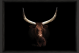 Bull Artwork 600x900                                         