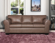 Norway Caramel 3 Division Couch in Free Delivery, Home Grown, Price Mania, Shop By Room, Products, Big Birthday Sale, Lounge, Lounge, Furniture, Lounge, Couches at House & Home.