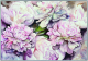 in Products, Furniture, Home Décor, Canvas at House & Home.