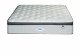 Edblo Samara 152cm Mattress Only by Edblo in Free Delivery, Birthday Savings Showcase, Bravo The Ultimate Challenge, Shop By Room, Products, Bedding, Bedroom, Bedding, Queen (152cm), Mattresses, Mattresses at House & Home.