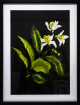 Botanical Framed Print 800mm X 600mm in Products Customers Love 2, Products, Furniture, Home Décor, Prints at House & Home.