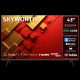 Skyworth 43