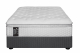 Lunar Centara 152cm Luxury Pillow Top Base Set in Shop By Room, Products, Bedding, Queen (152cm), Base Sets at House & Home.