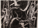 Ikon 200x290 05440a-black Rug in Shop By Room, Products, Lounge, Furniture, Rugs, Rugs at House & Home.