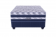 Restonic Danube 152cm Pillow- Top Base Set by Restonic in Shop By Room, Products, Featured, Bedroom, Bedding, Queen (152cm), Base Sets at House & Home.