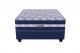 Restonic Windsor 152cm Base Set by Restonic in Shop By Room, Products, Featured, Bedroom, Bedding, Queen (152cm), Base Sets at House & Home.