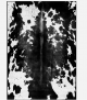 Sophia 200x280cm Black&grey Rug in Products, Featured, Furniture, Rugs, Rugs at House & Home.